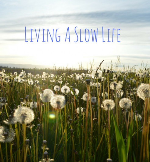 slow_life